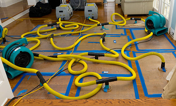 Professional Structural Drying And Dehumidification technician working in Heber, CA